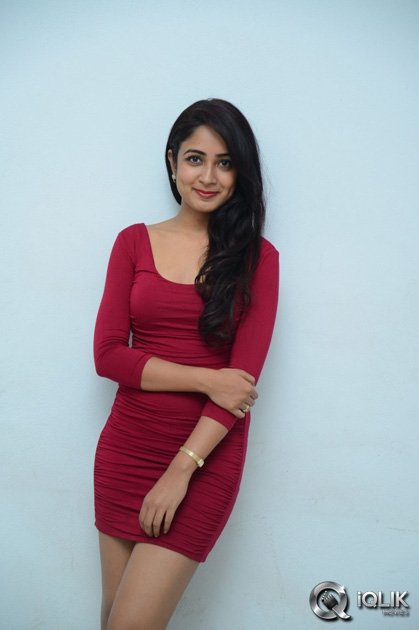 Aditi-Chengappa-at-Moodu-Mukkallo-Cheppalante-Audio-Launch